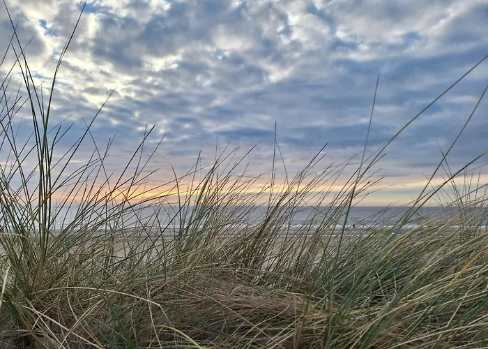 Le Paradis Dom wakacyjny Cucq