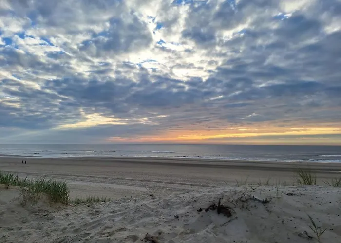 Dom wakacyjny Le Paradis *